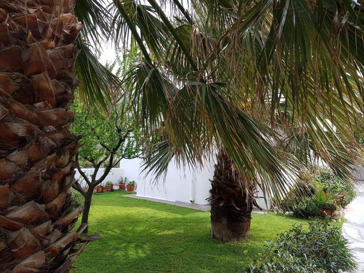 Theo'S Vacation Home Σκύρος Εξωτερικό φωτογραφία